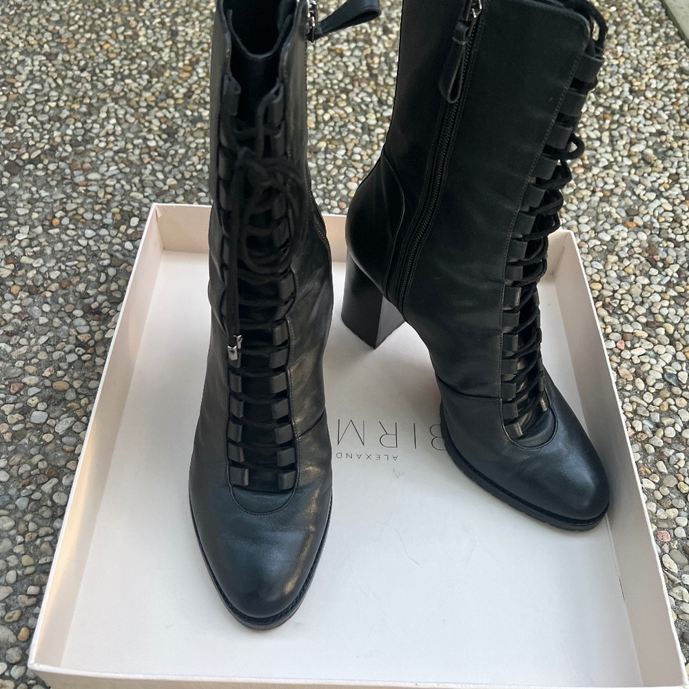Alexandre Birman boots